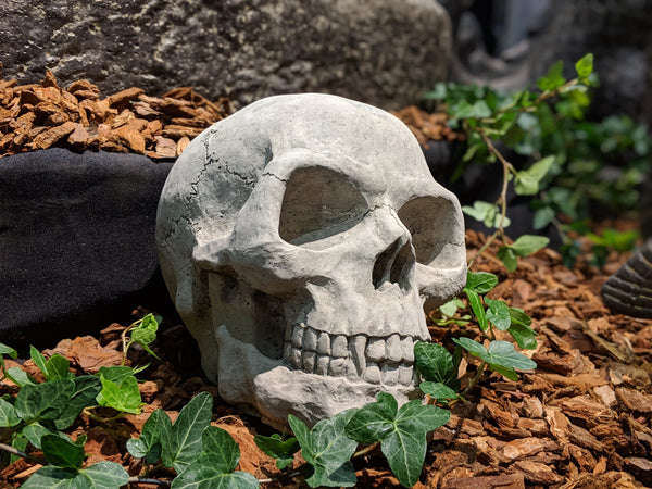 Decorative stone skull ornament