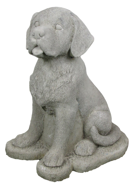 Cheeky dog with stone ornament