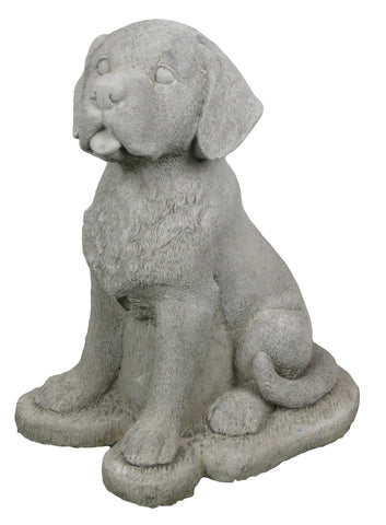 Cheeky dog with stone ornament