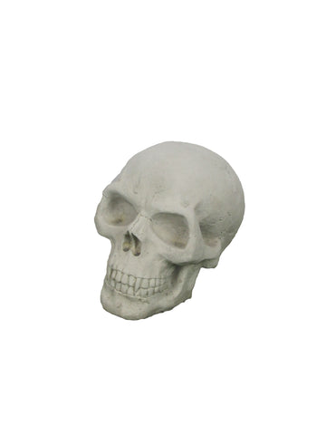 Decorative stone skull ornament