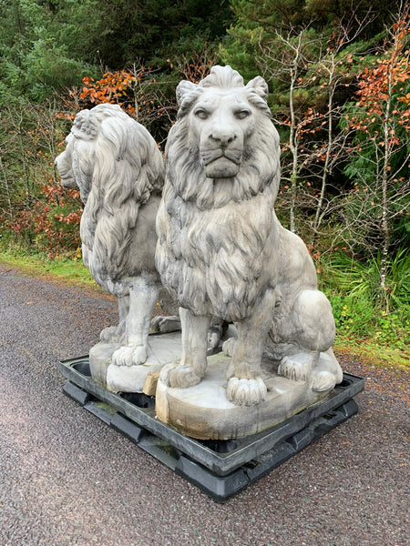 Large Stone Sitting Lions Pair 135cm