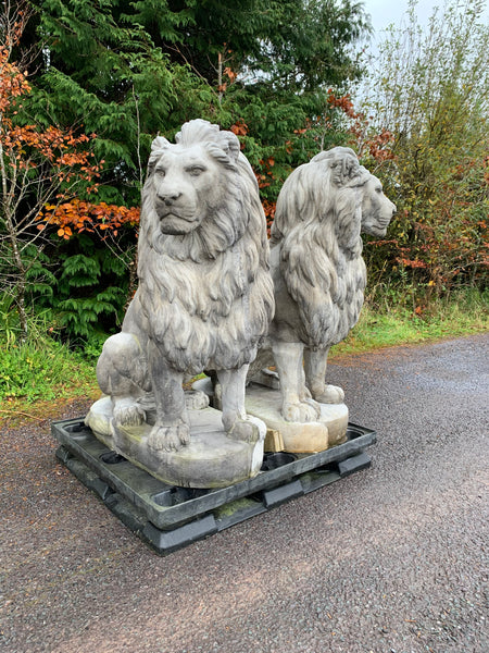 Large Stone Sitting Lions Pair 135cm