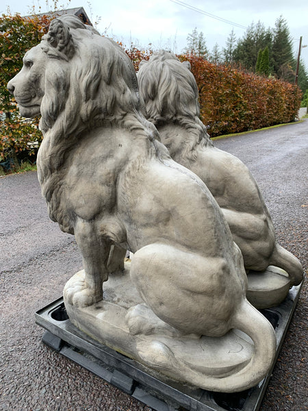 Large Stone Sitting Lions Pair 135cm