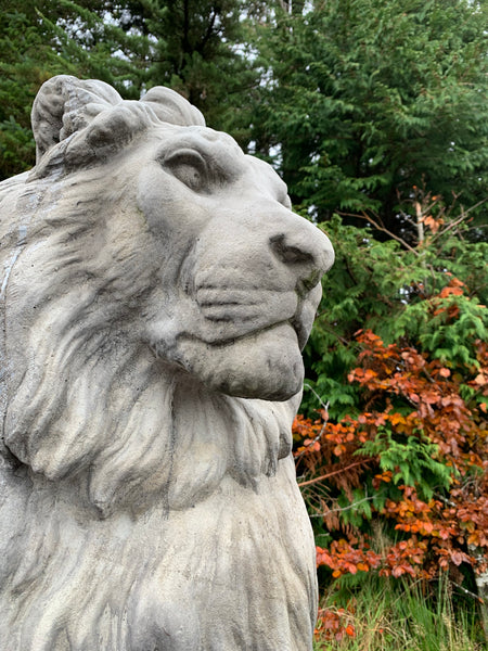 Large Stone Sitting Lions Pair 135cm