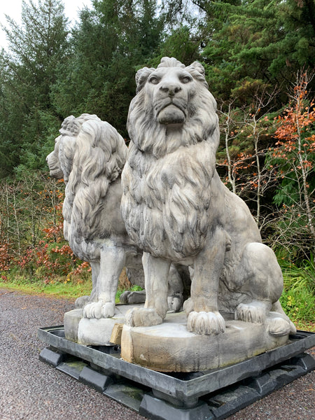 Large Stone Sitting Lions Pair 135cm