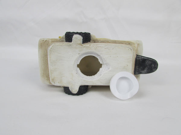 Camera birdhouse