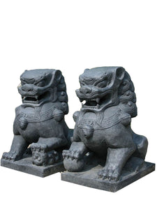 Set of two stone Temple Lions 40cm